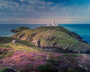 Preview wallpaper lighthouse, relief, flowers, sea