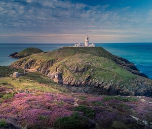 Preview wallpaper lighthouse, relief, flowers, sea