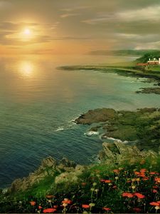 Preview wallpaper lighthouse, sunset, sea, shore, height, poppies, flowers