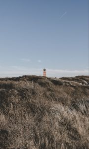 Preview wallpaper lighthouse, tower, grass, bushes, nature