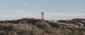 Preview wallpaper lighthouse, tower, grass, bushes, nature