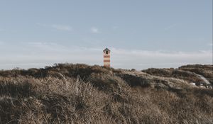 Preview wallpaper lighthouse, tower, grass, bushes, nature