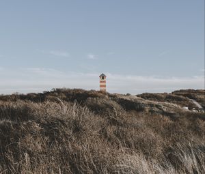 Preview wallpaper lighthouse, tower, grass, bushes, nature