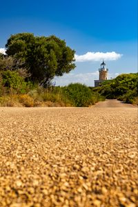 Preview wallpaper lighthouse, tower, tree, blur