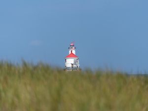 Preview wallpaper lighthouse, towers, grass, field, blur