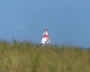 Preview wallpaper lighthouse, towers, grass, field, blur