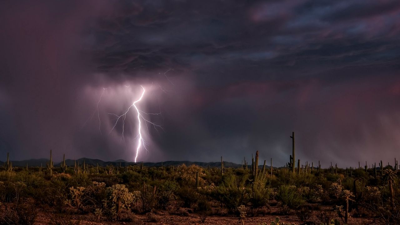 Wallpaper lightning, category, desert, elements, cactuses