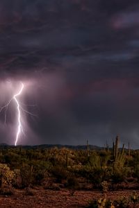 Preview wallpaper lightning, category, desert, elements, cactuses