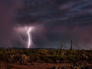 Preview wallpaper lightning, category, desert, elements, cactuses