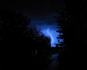 Preview wallpaper lightning, night, trees, sky, overcast, dark