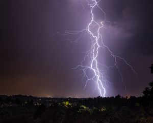 Preview wallpaper lightning, night, trees, dark