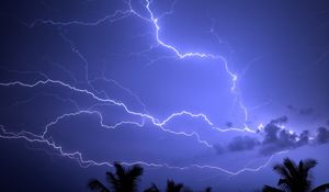 Preview wallpaper lightning, storm, palm, sky