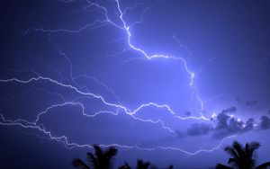 Preview wallpaper lightning, storm, palm, sky