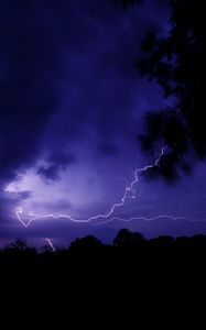 Preview wallpaper lightning, thunderstorm, branch, bushes