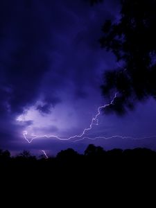 Preview wallpaper lightning, thunderstorm, branch, bushes