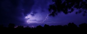 Preview wallpaper lightning, thunderstorm, branch, bushes