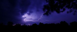 Preview wallpaper lightning, thunderstorm, branch, bushes