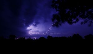 Preview wallpaper lightning, thunderstorm, branch, bushes