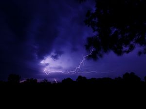 Preview wallpaper lightning, thunderstorm, branch, bushes