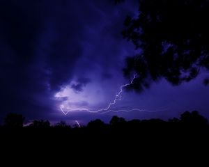 Preview wallpaper lightning, thunderstorm, branch, bushes