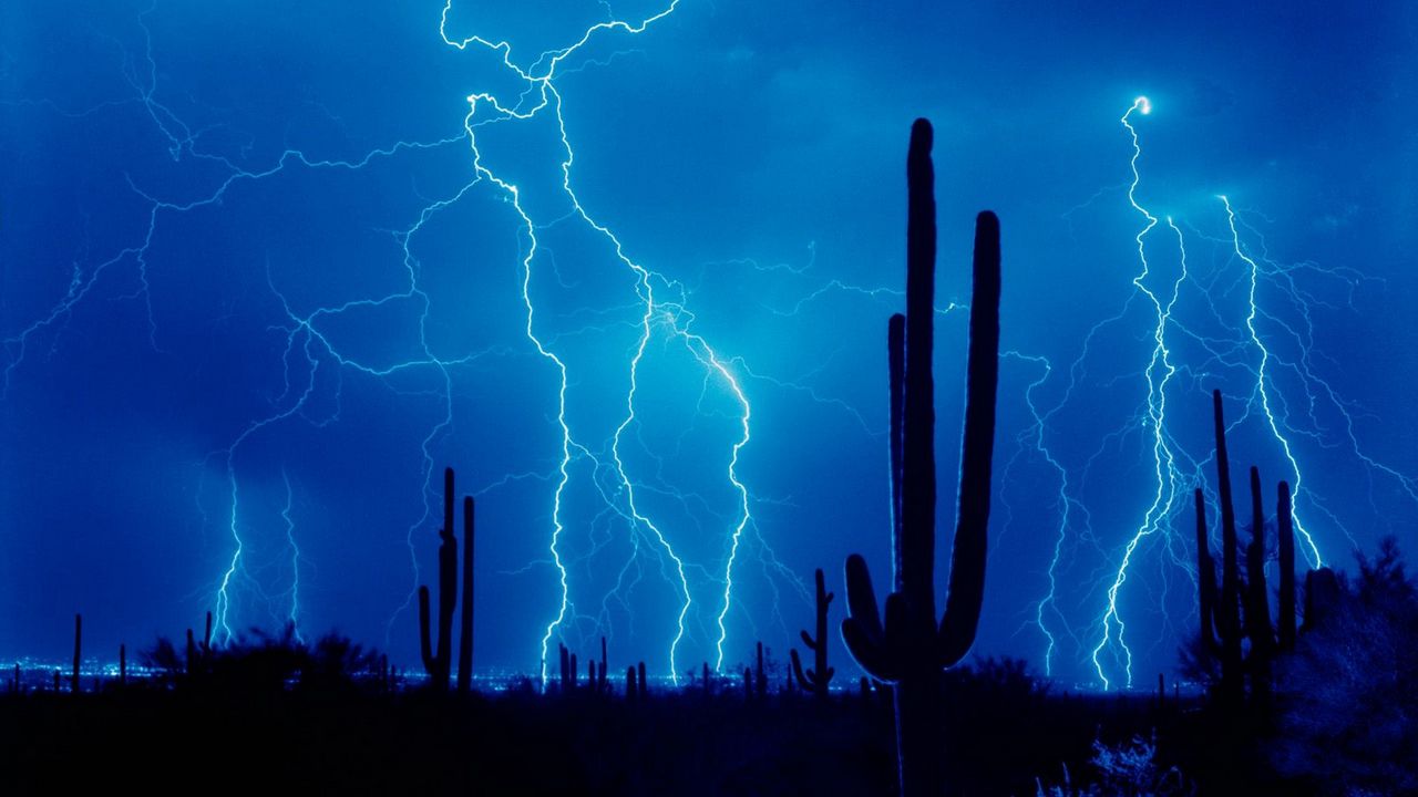 Wallpaper lightning, thunder-storm, elements, sky, cactuses, outlines, desert