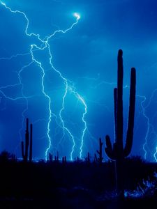 Preview wallpaper lightning, thunder-storm, elements, sky, cactuses, outlines, desert
