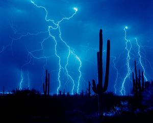 Preview wallpaper lightning, thunder-storm, elements, sky, cactuses, outlines, desert