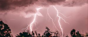 Preview wallpaper lightning, thunderstorm, pink, trees