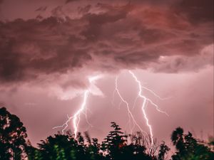 Preview wallpaper lightning, thunderstorm, pink, trees