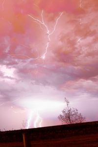 Preview wallpaper lightning, thunderstorm, sky, trees