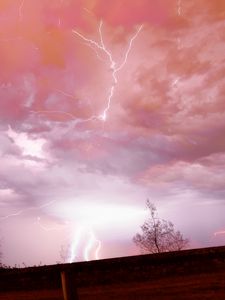 Preview wallpaper lightning, thunderstorm, sky, trees