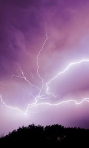 Preview wallpaper lightning, thunderstorm, sky, trees, purple, dark