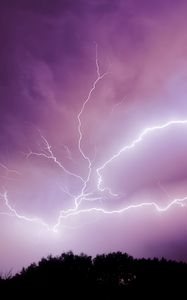 Preview wallpaper lightning, thunderstorm, sky, trees, purple, dark