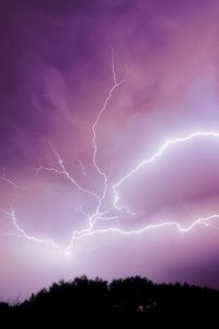 Preview wallpaper lightning, thunderstorm, sky, trees, purple, dark