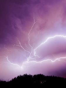 Preview wallpaper lightning, thunderstorm, sky, trees, purple, dark