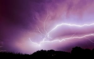 Preview wallpaper lightning, thunderstorm, sky, trees, purple, dark