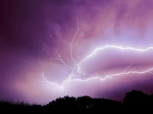 Preview wallpaper lightning, thunderstorm, sky, trees, purple, dark