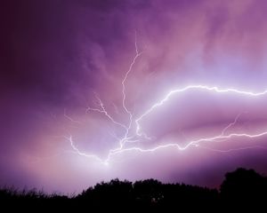 Preview wallpaper lightning, thunderstorm, sky, trees, purple, dark