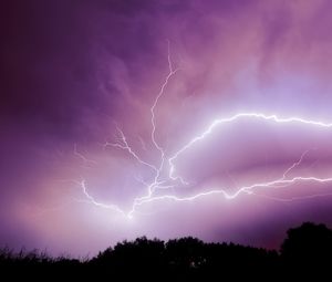 Preview wallpaper lightning, thunderstorm, sky, trees, purple, dark