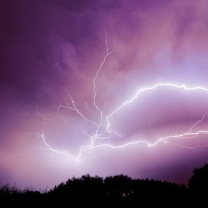 Preview wallpaper lightning, thunderstorm, sky, trees, purple, dark