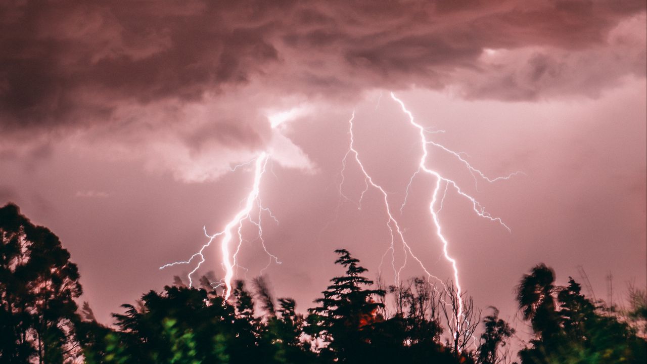 Wallpaper lightning, thunderstorm, trees, pink