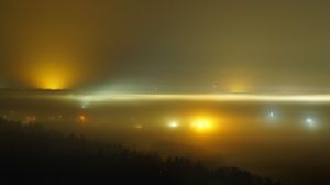 Preview wallpaper lights, fog, trees, night