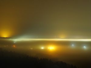 Preview wallpaper lights, fog, trees, night