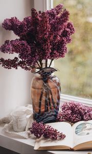 Preview wallpaper lilac, book, vase, comfort, window