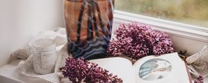 Preview wallpaper lilac, book, vase, comfort, window