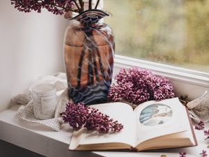 Preview wallpaper lilac, book, vase, comfort, window