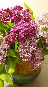 Preview wallpaper lilac, bouquet, vase, bloom, spring