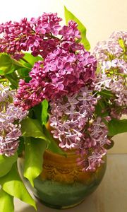 Preview wallpaper lilac, bouquet, vase, bloom, spring