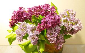 Preview wallpaper lilac, bouquet, vase, bloom, spring