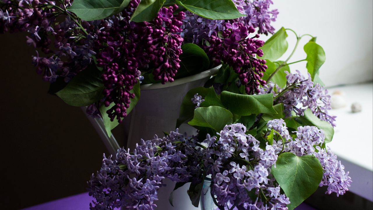 Wallpaper lilac, bouquets, flowers, purple